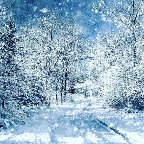 Стихи для родителей