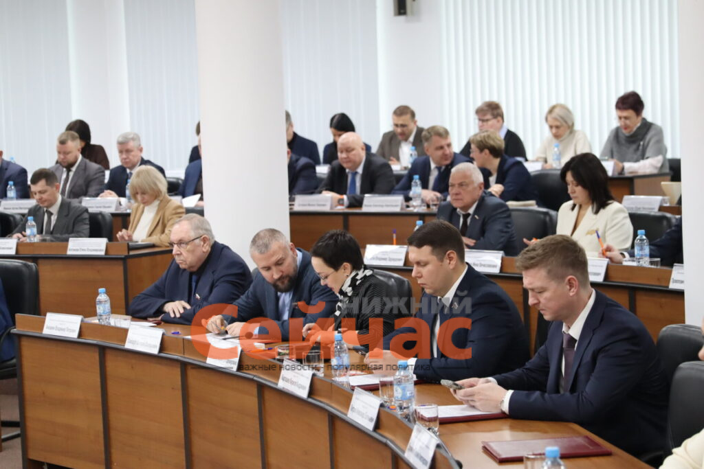    Фото: пресс-служба Думы Редакция nn-now