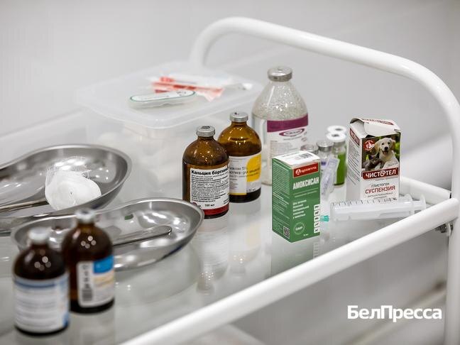 Фото: Павел Колядин