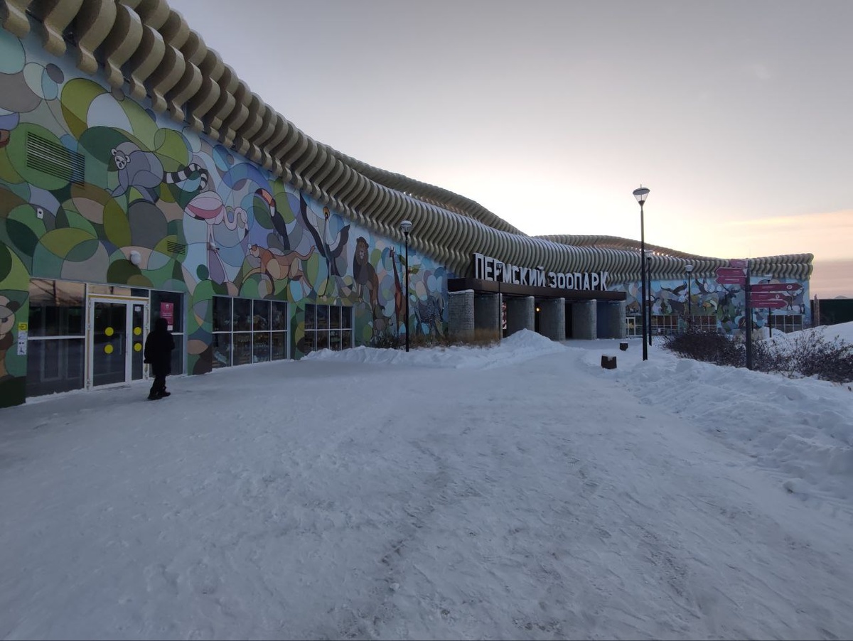    © Алёна Бронникова