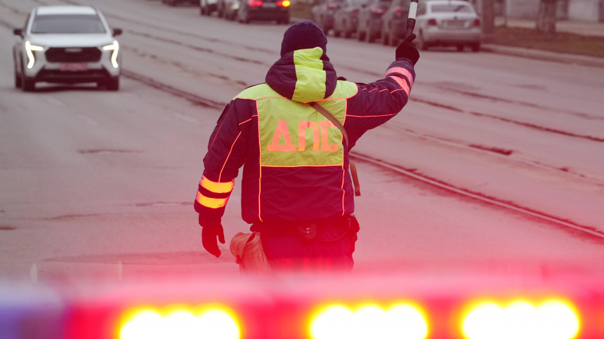    Фото: ИЗВЕСТИЯ/Эдуард Корниенко; 5-tv.ru