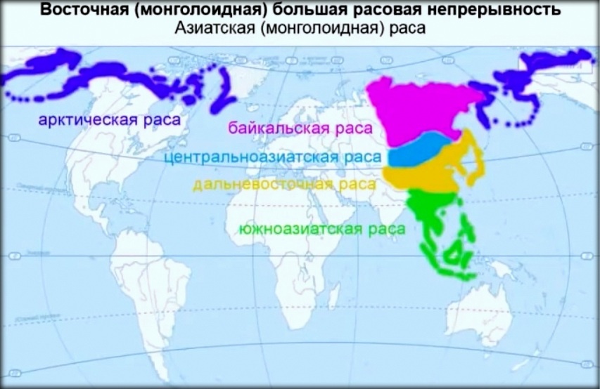 Из курса «Расоведение» С. В. Дробышевского. Малые расы большой монголоидной расы.