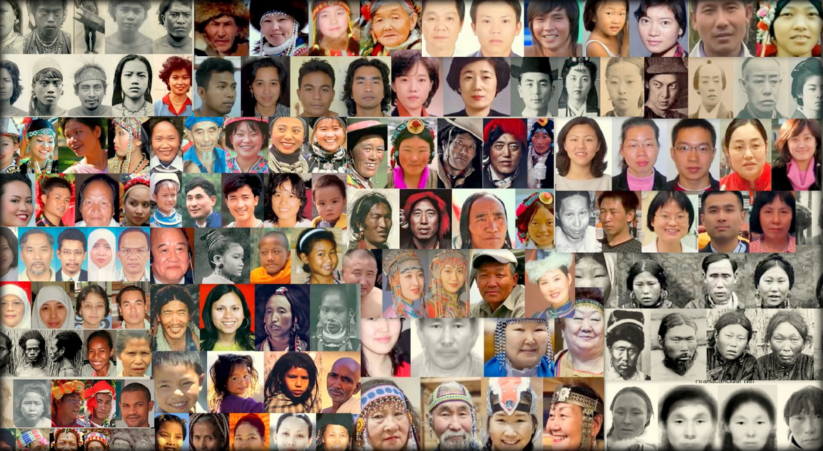 Коллаж автора.