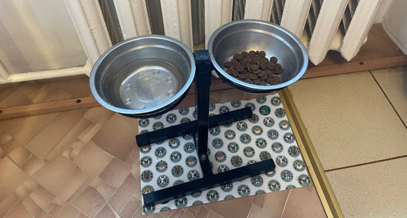    Автор фото - Анна Ефимова