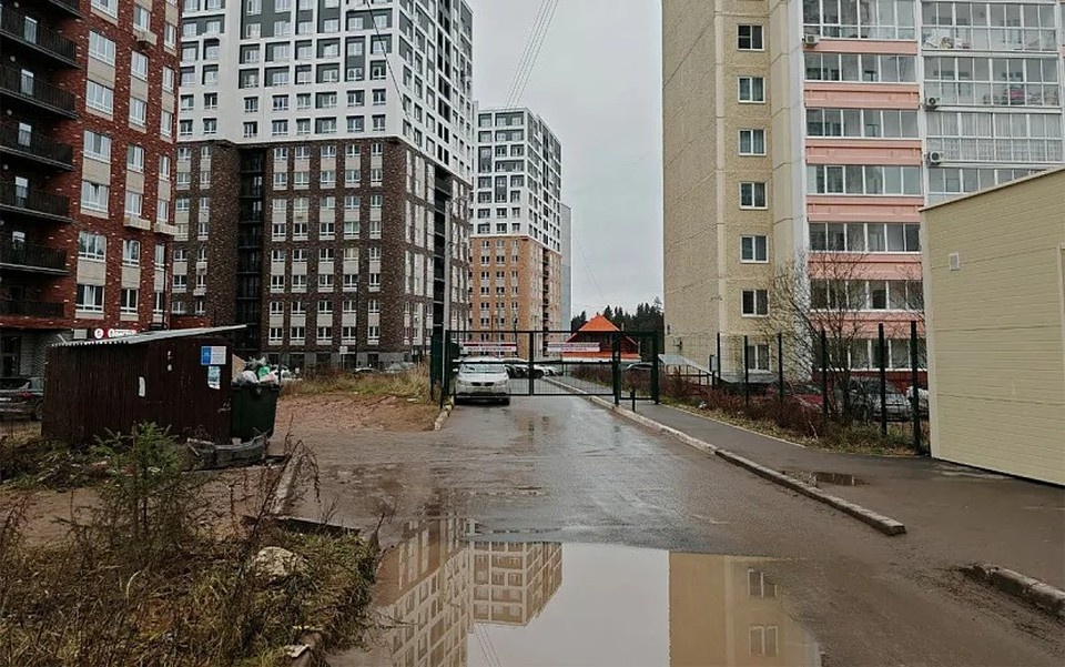    Подъездная дорога к дому 101 по ул. Холмогорова. Фото: автора