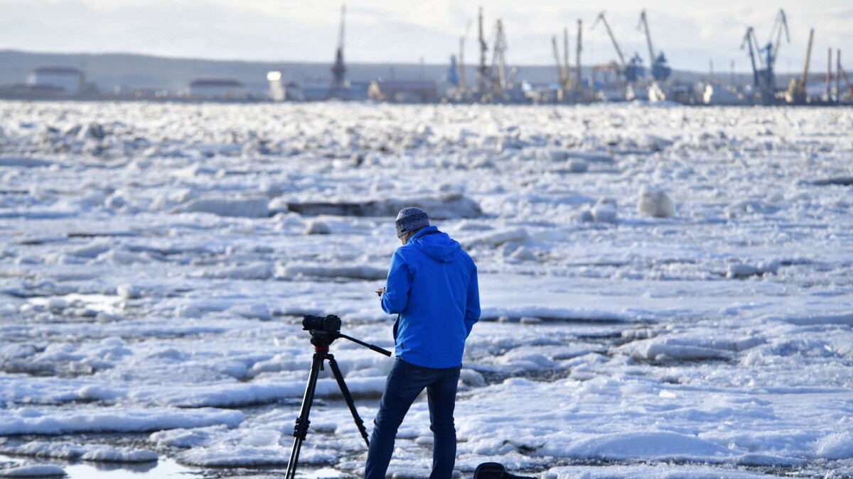    Фото: Андрей Ткачев / «Ямал-Медиа»