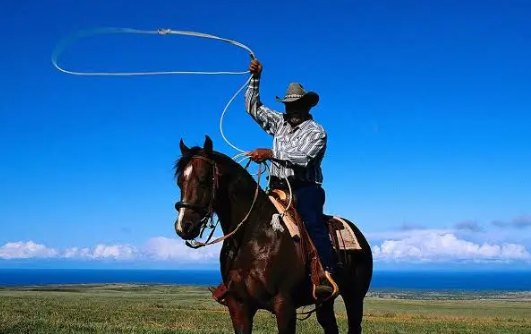 Как быстро выделять объекты в nanoCAD?