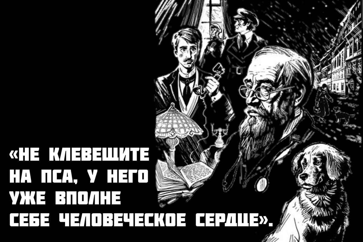 Цитата из книги 