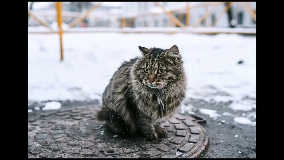 Фото с Pinterest для примера