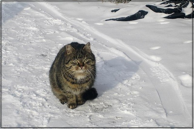 Фото с yaplakal.com для примера