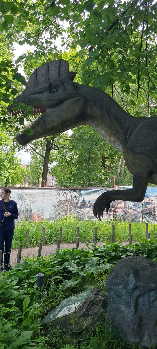 СПб дино парк