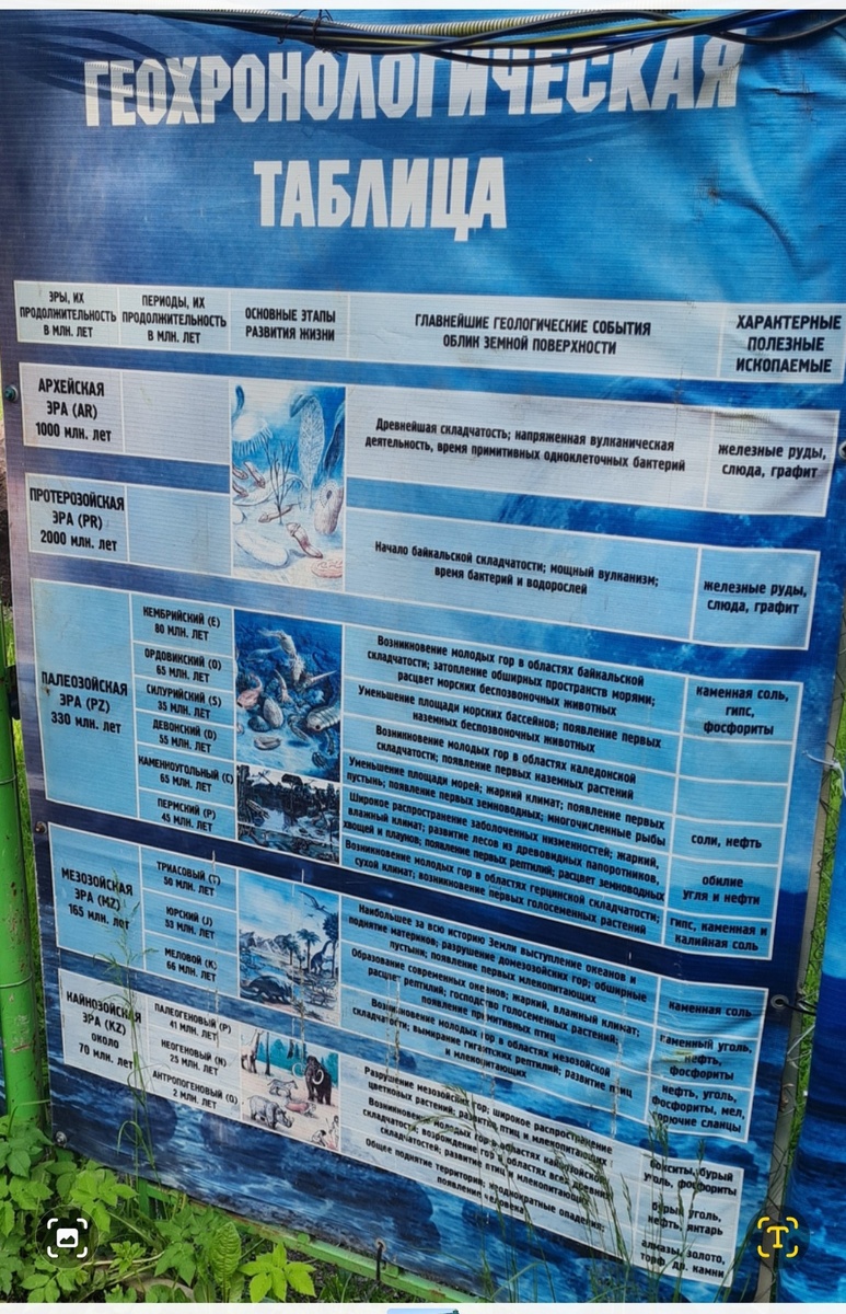 СПб стенд в дино парке СПб 