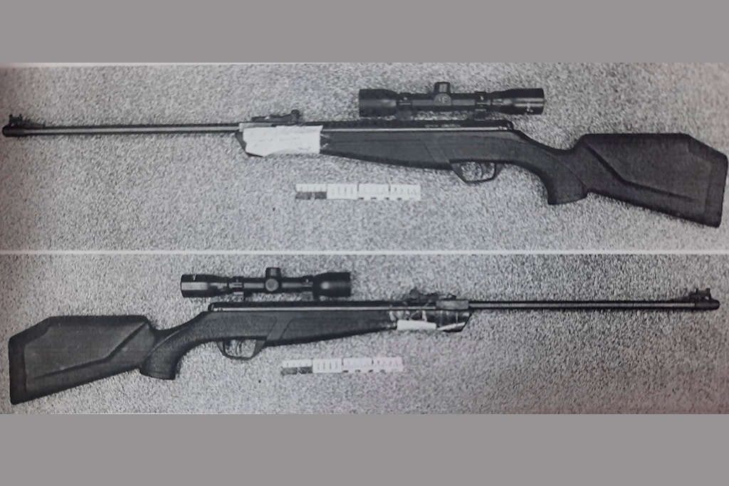    Случай произошел в августе в Череповецком округе. В полицию поступило сообщение о стрельбе из пневматического оружия Источник: https://cherinfo.ru/news/144093-v-cerepovce-dacnika-budut-sudit-za-vystrel-v-podrostka-na-motocikle