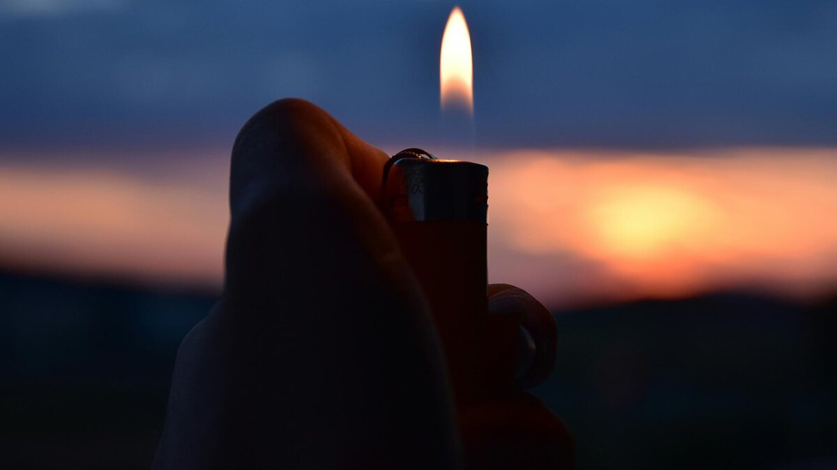    Фото: unsplash.com