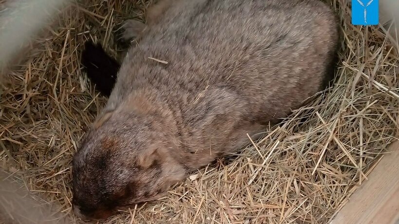   Фото: Telegram-канал «Саратовская область»