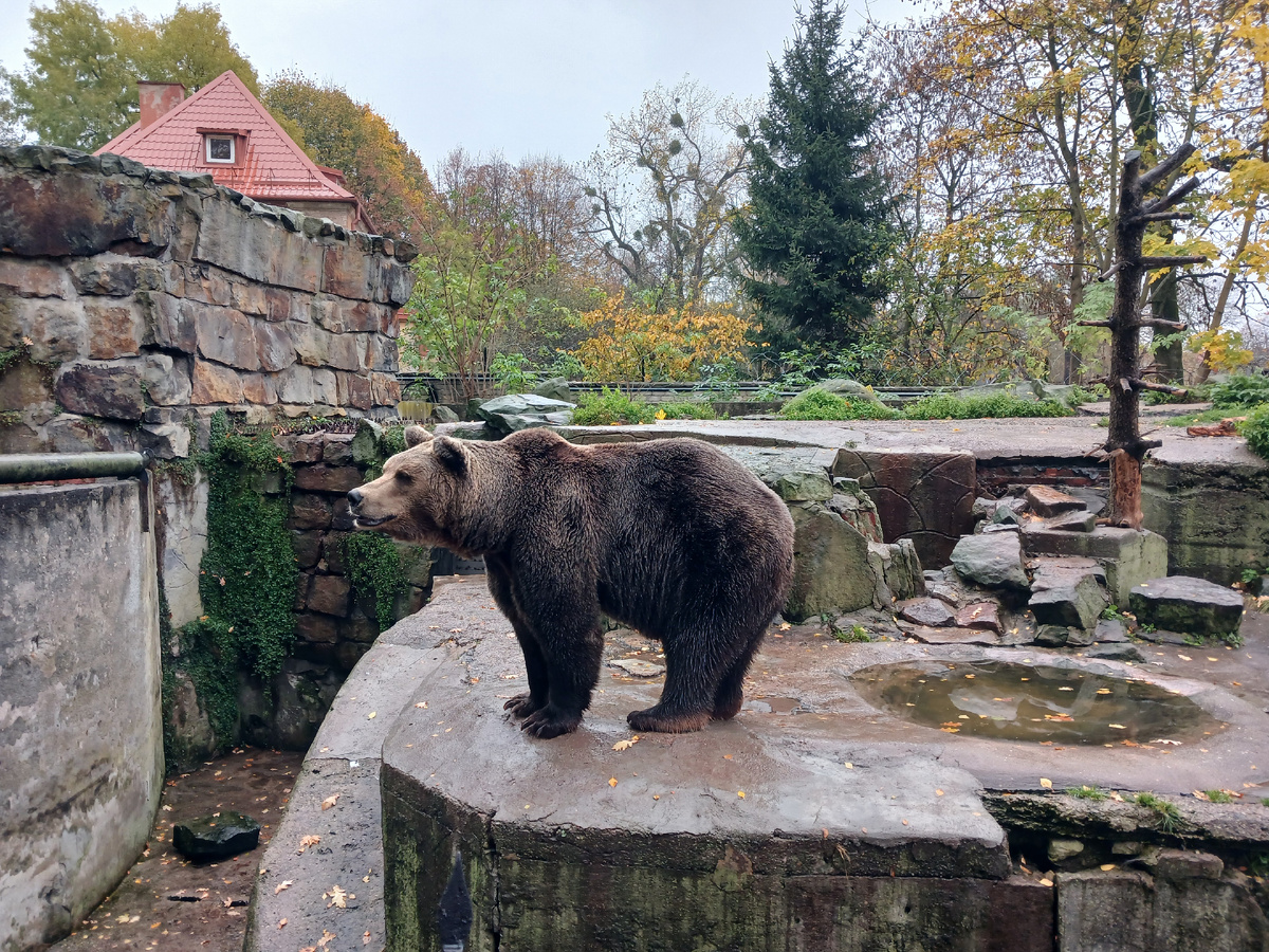 Калининград