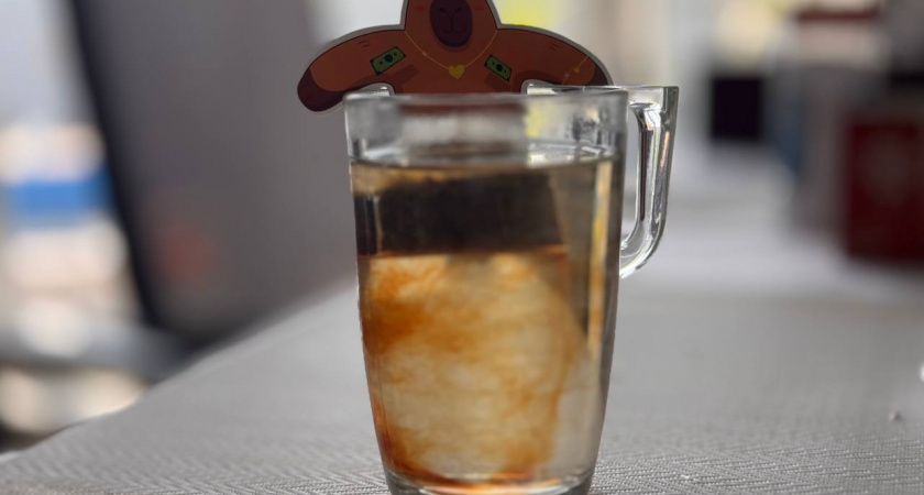    Первый городской канал Калининград