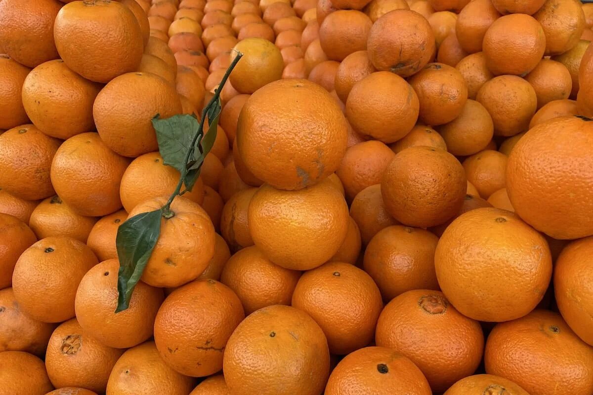 Фото: UfaTime.ru