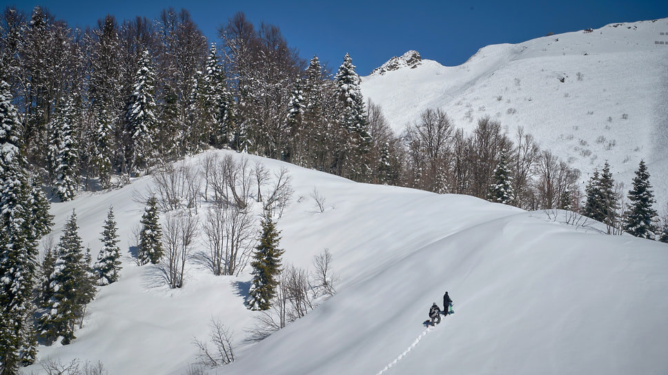 Фото: Андрей Бородулин / Коммерсантъ