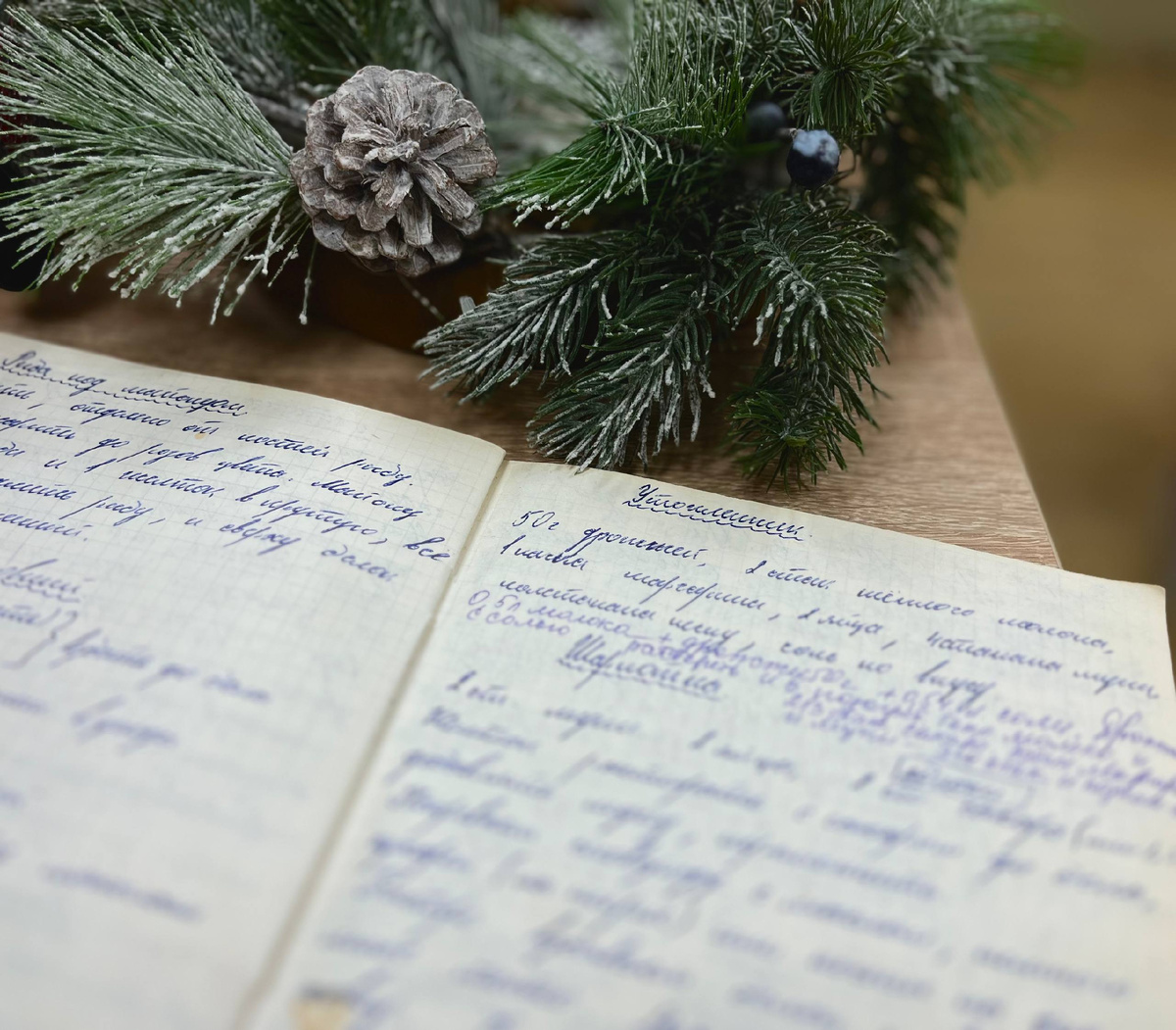 Книга рецептов Ольги Анатольевны