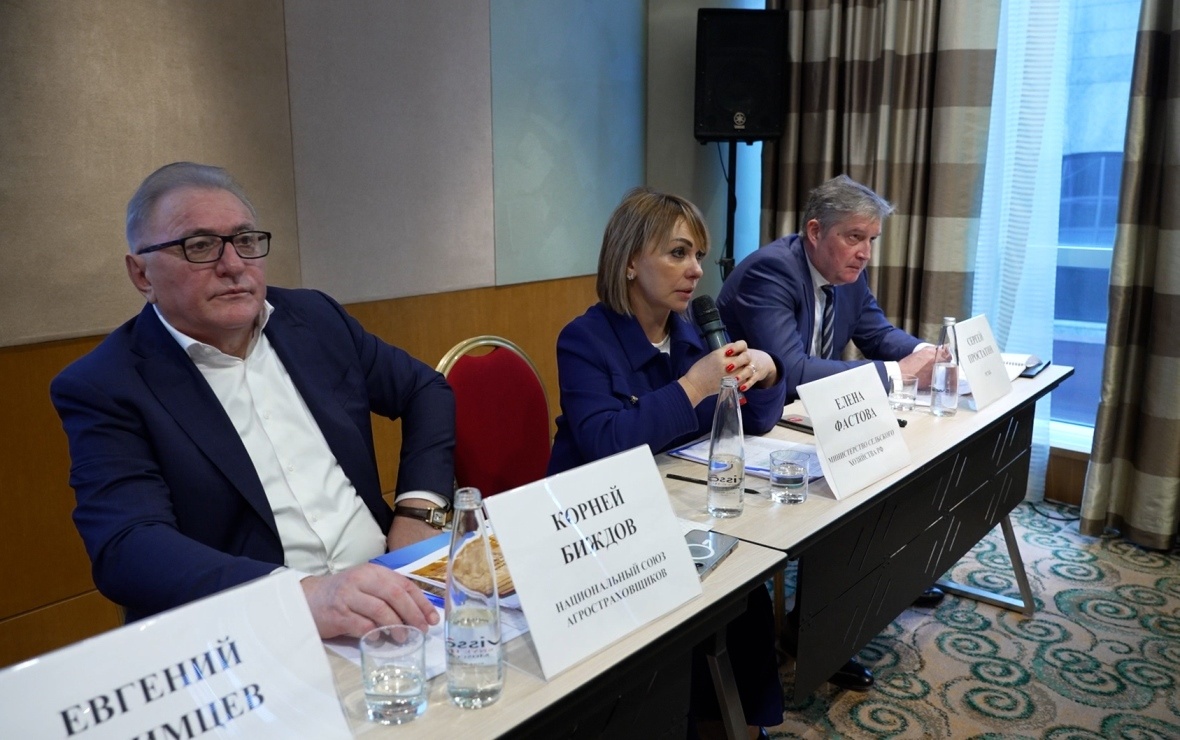 Корней Биждов, Елена Фастова и Сергей Простатин (Фото: РБК Черноземье)