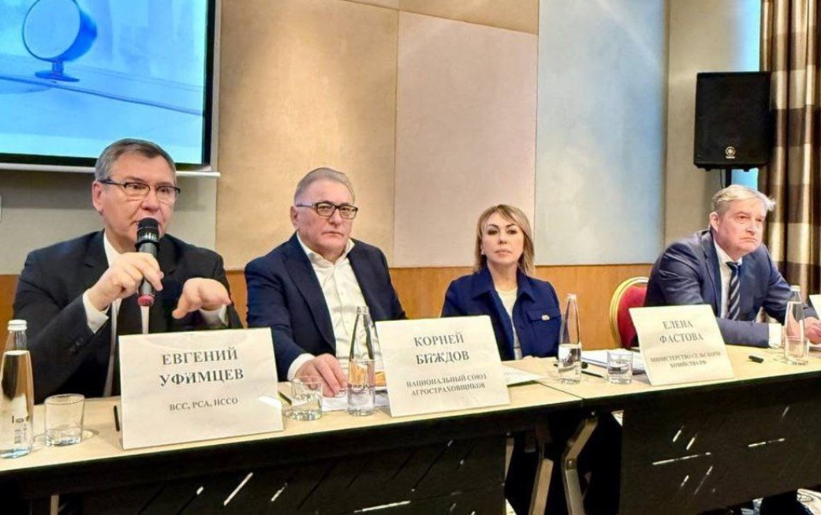 Евгений Уфимцев, Корней Биждов, Елена Фастова и Сергей Простатин (Фото: РБК Черноземье)