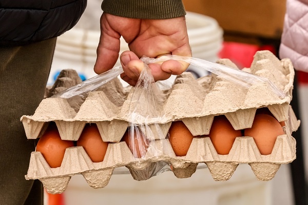 Фото: Сергей Мальгавко/ТАСС
