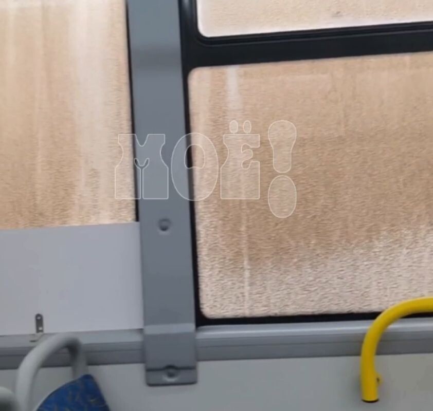    Фото: скриншот из видео