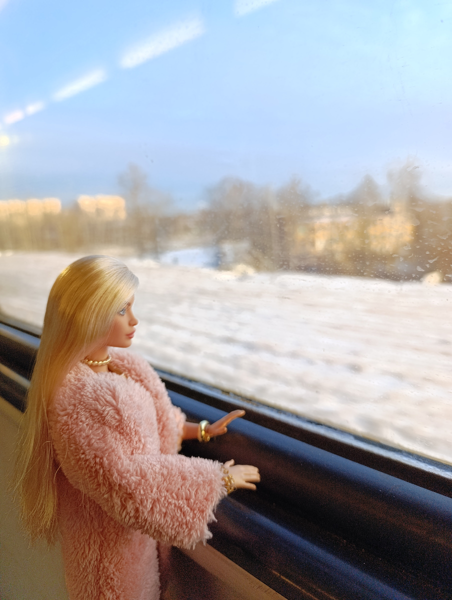 Делина смотрит в окно электрички.