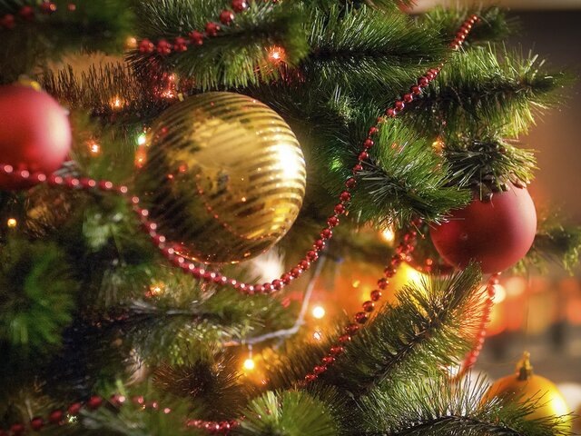    Фото: depositphotos/Kryzhov