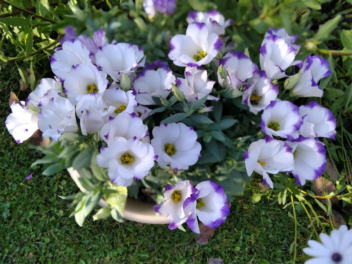 Лето 2024 года