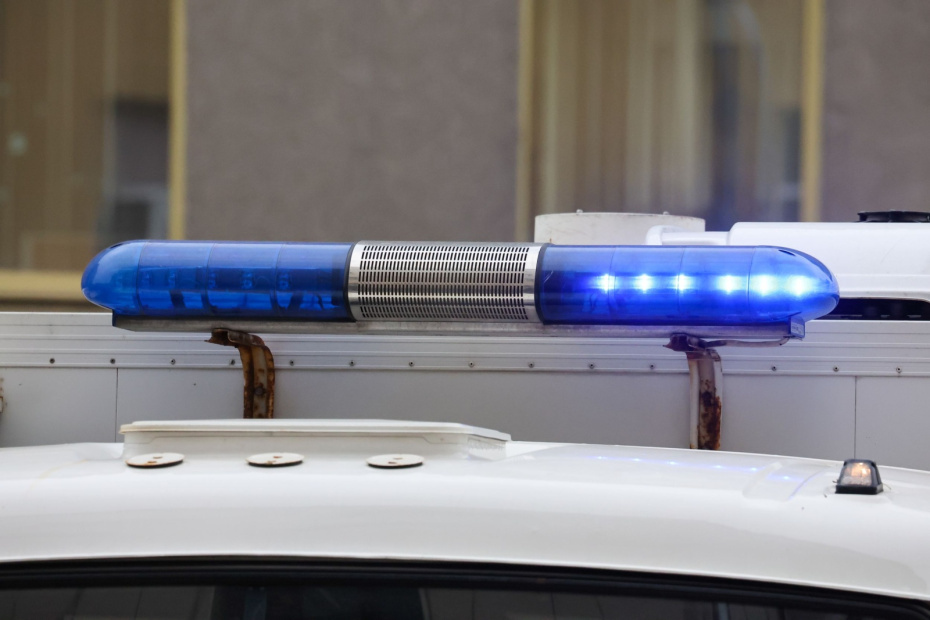    Алексей Белкин/NEWS.ru