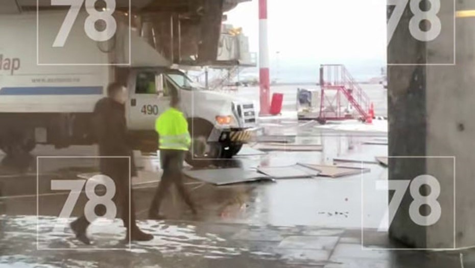    Автор фото: 78.ru