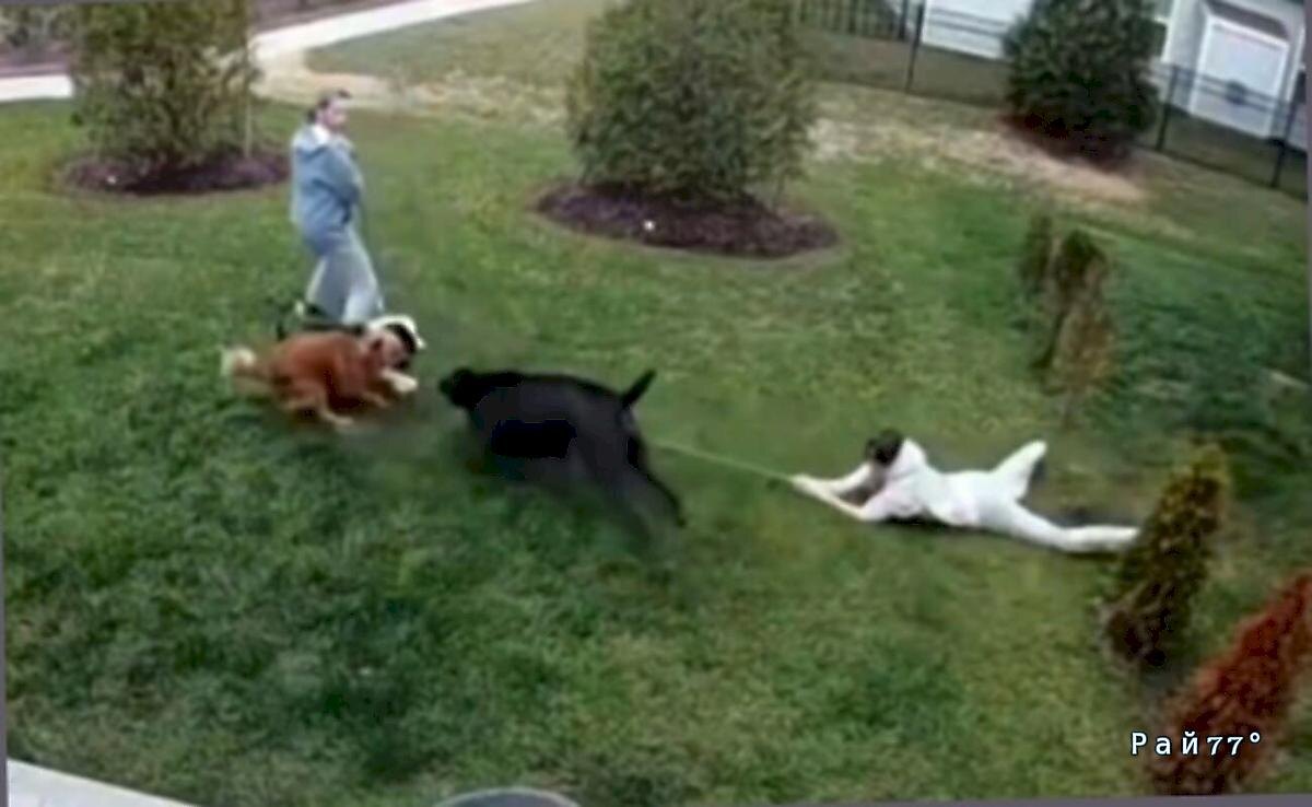   Фото - скриншот с видео, снятого на месте происшествия