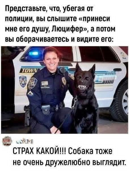Affer mihi animam eius! Мем смешной, ситуация страшная