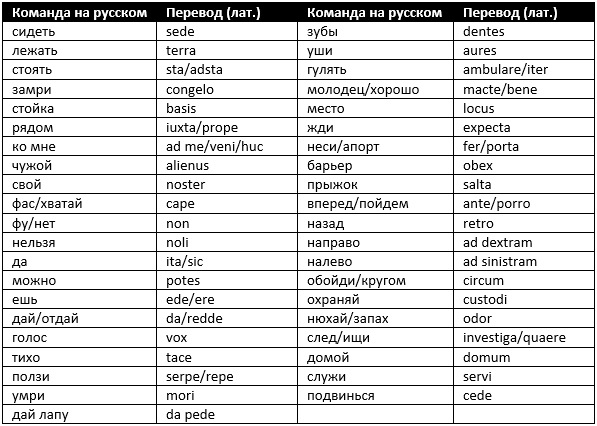 Команды для собак на латыни. Таблица для распечатки