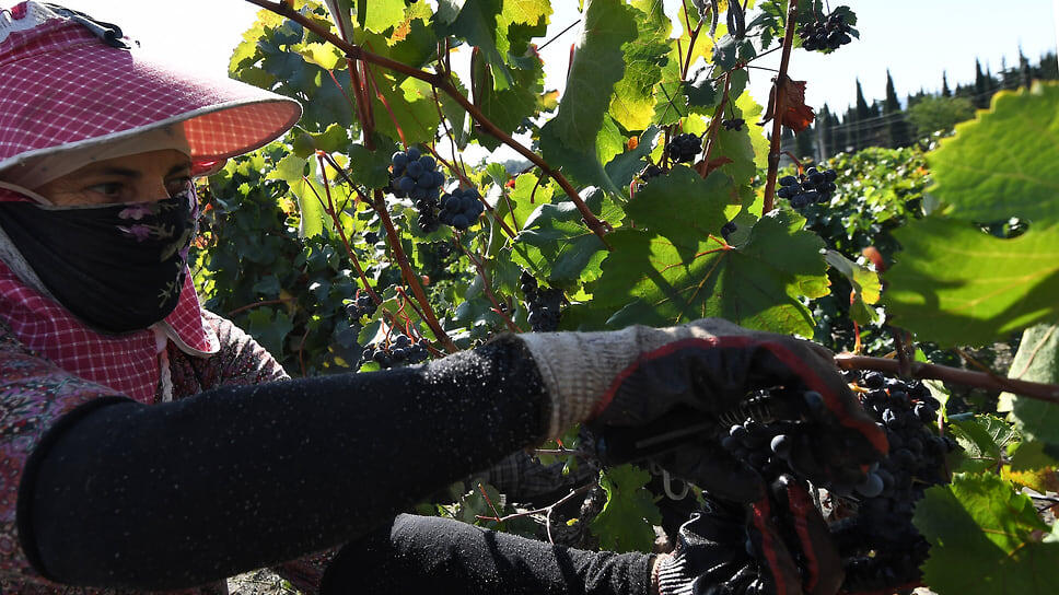 Фото: Виктор Коротаев / Коммерсантъ