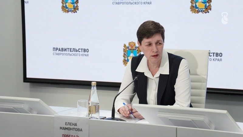    Министр труда и социальной защиты населения СК Елена Мамонтова Фото: Александр Скрыпник / / ИА «Победа26»