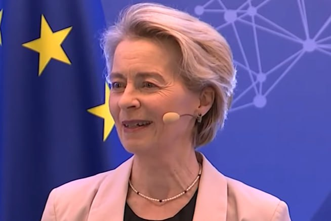 Фото: Prt Scr youtube.com / EU Debates