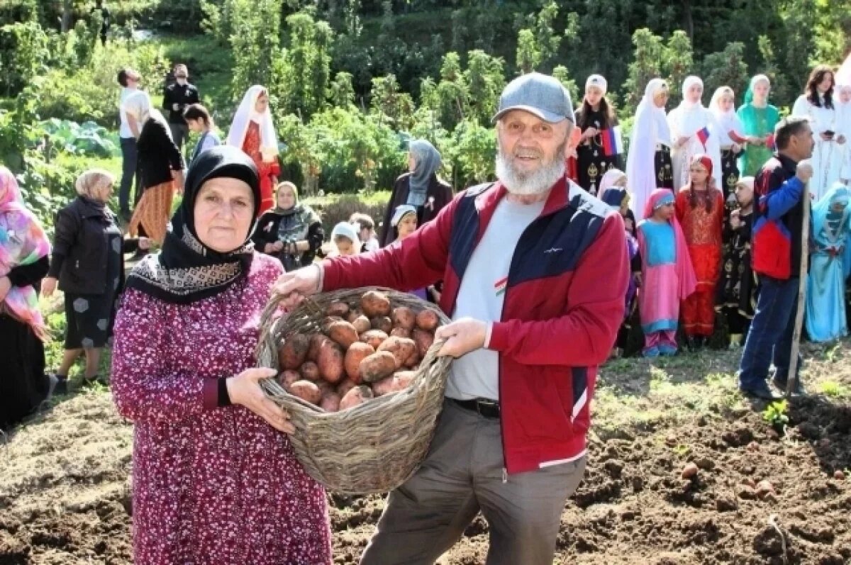    В 2025 году в республике собрали богатый урожай.