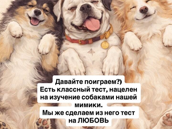 Как понять, что собака тебя любит?