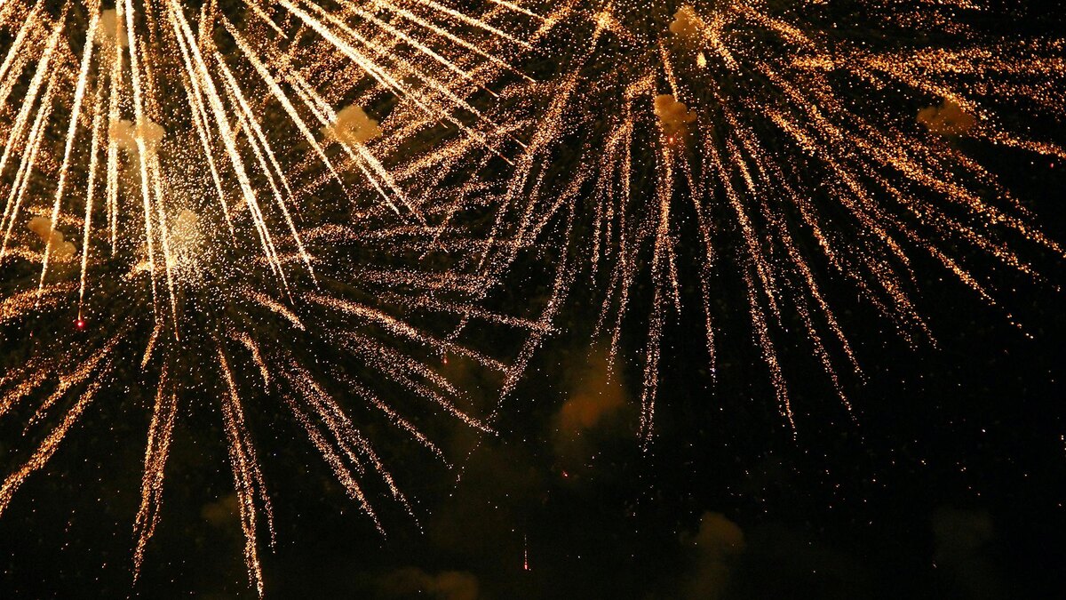    Фото: unsplash.com