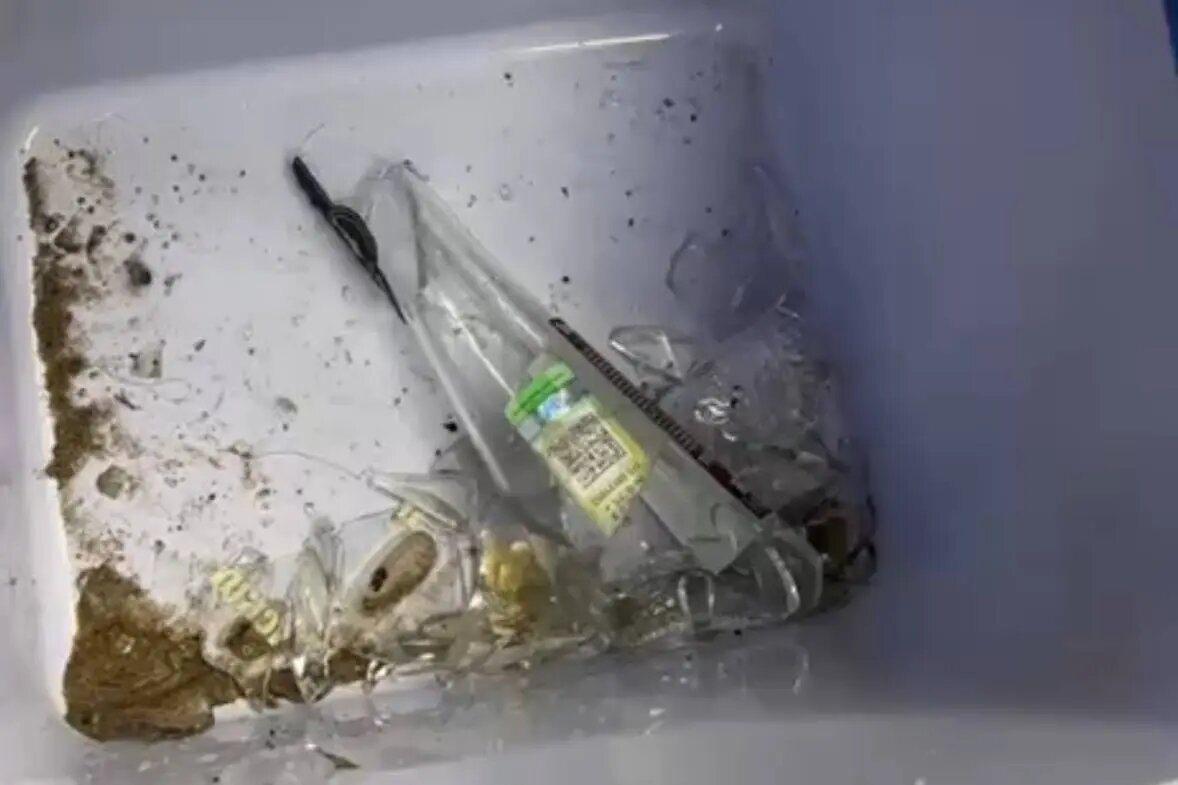    Фото: ГУ Росгвардии по Петербургу и Ленобласти