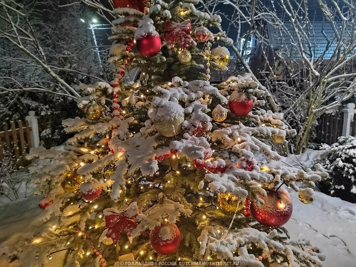 В Голландии тоже есть традиция - украшать ёлку. Фото: Голландец в России