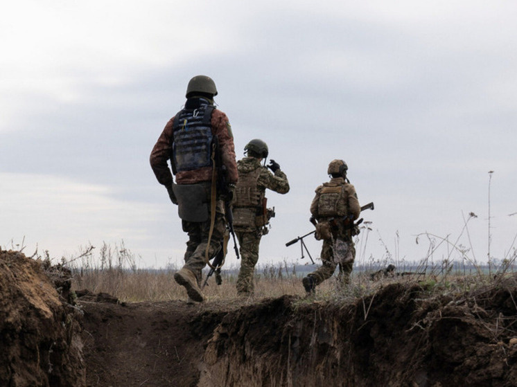     Фото: Ashley Chan/Keystone Press Agency/Global Look Press