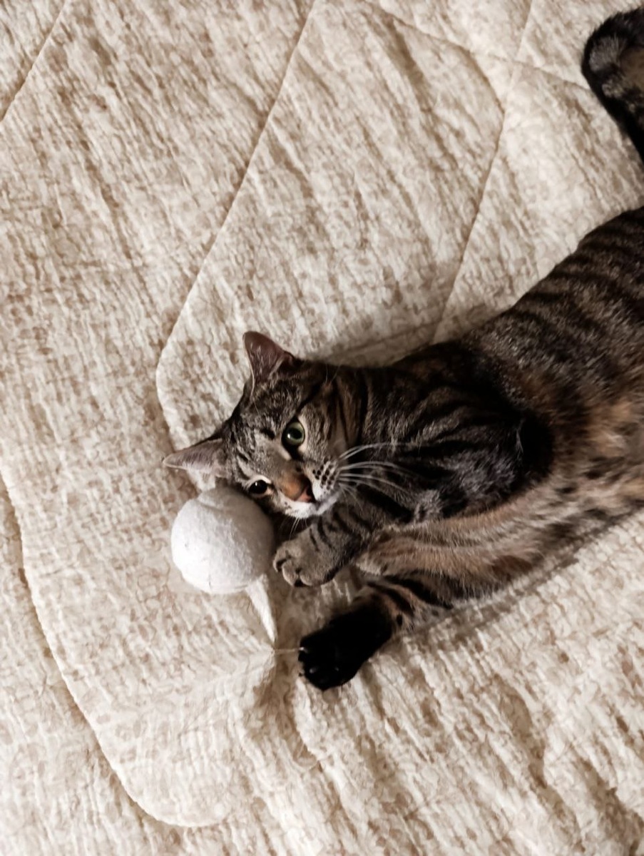 ... и все помощники "Банды Дворян"