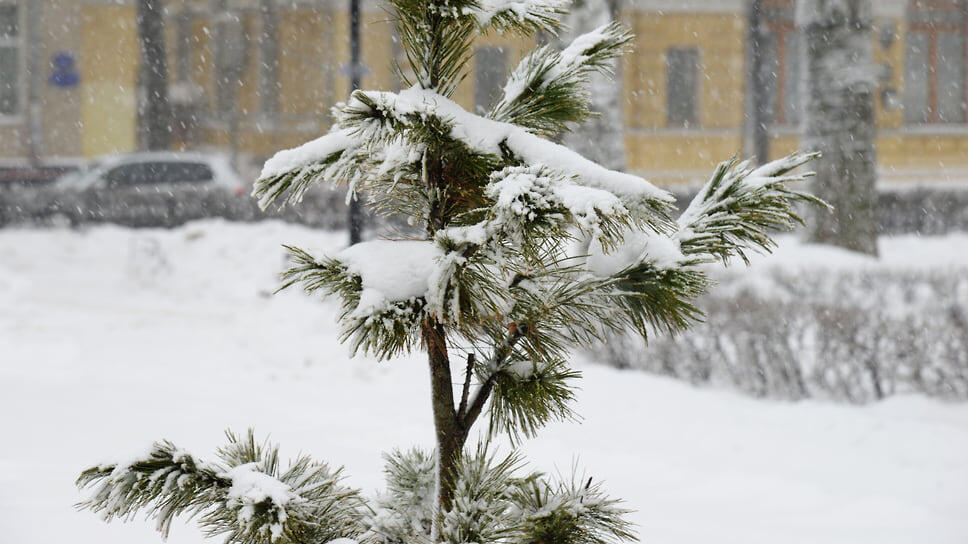 Фото: Игорь Елисеев / Коммерсантъ