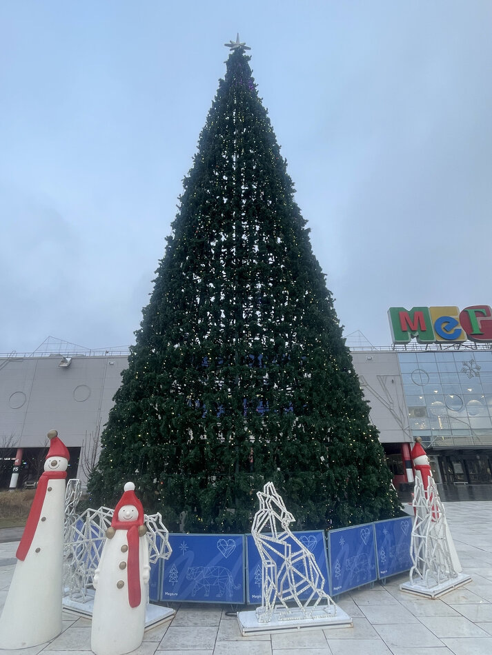 Психолог Зинаида Чистикова// Фотография из личного архива семьи Чистиковых