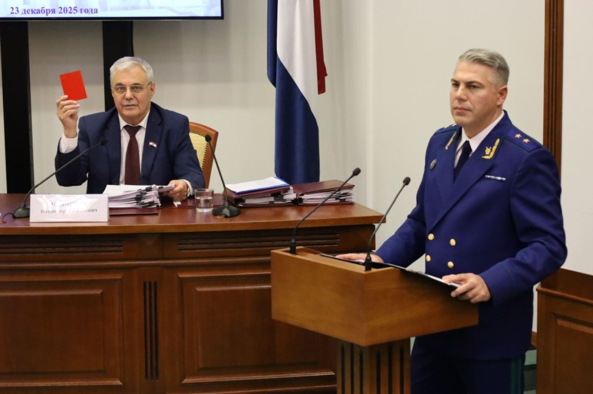    Фото: Государственное Собрание Республики Мордовия, источник: gsrm.ru