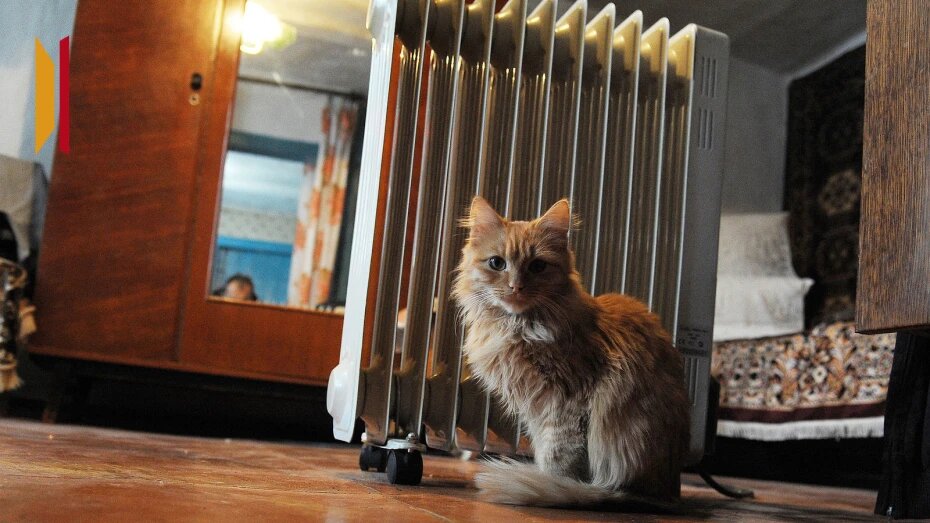    Автор фото: Андрей Архипов (из архива)